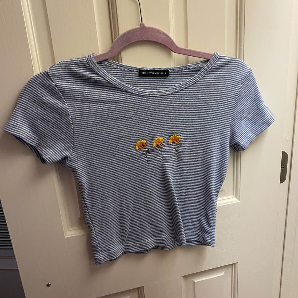 Brandy Melville crop top